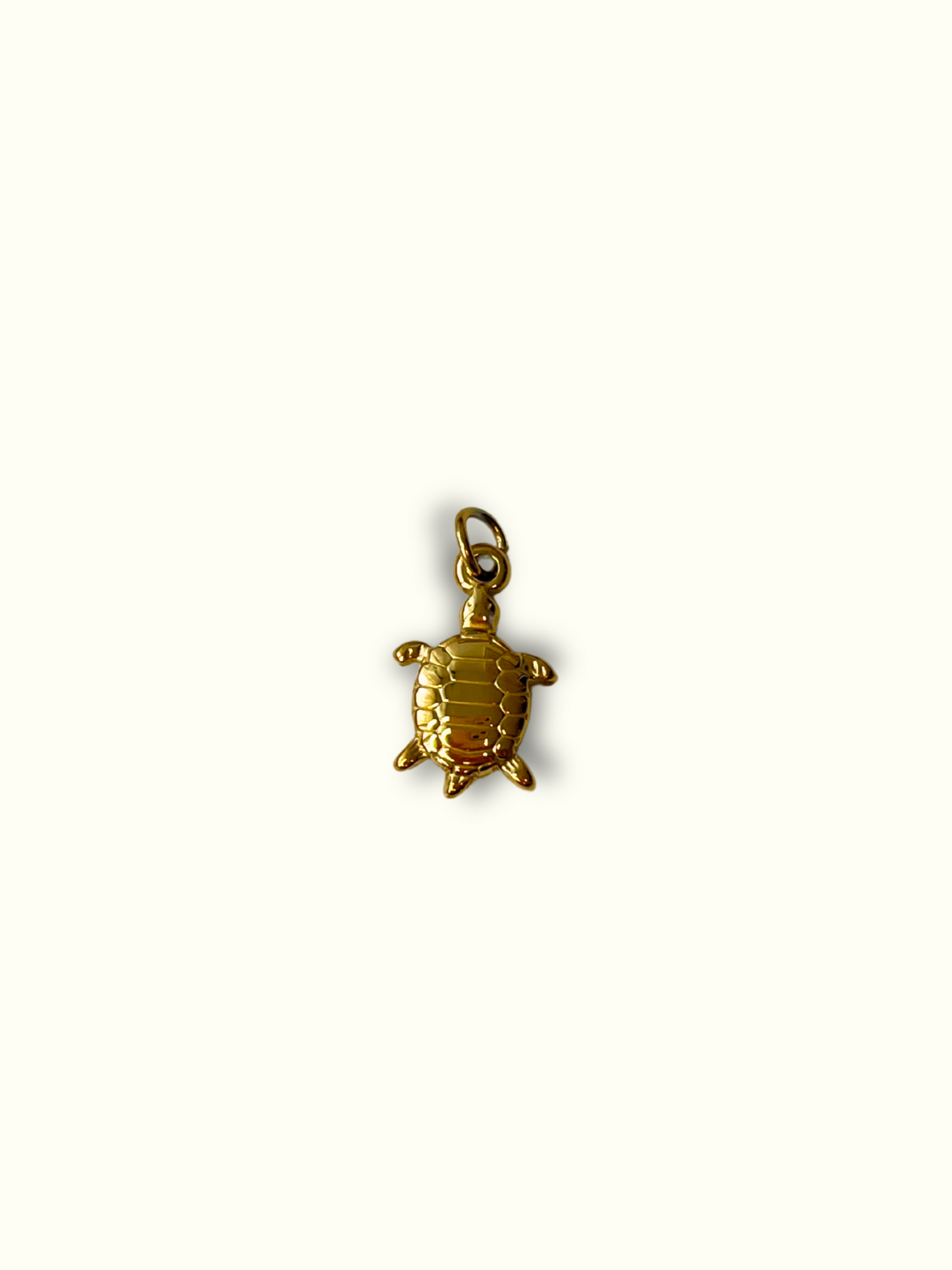 Tortuga Charm
