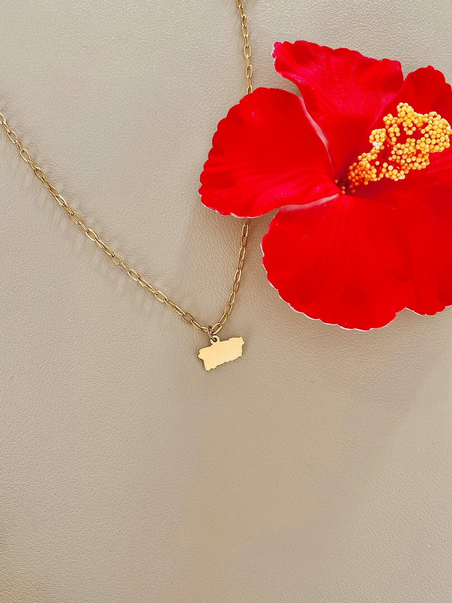 Jibara Necklace