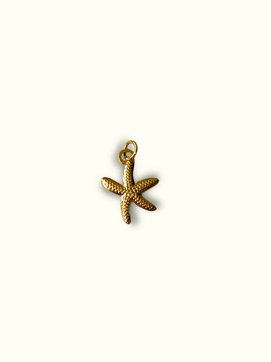 Starfish Charm