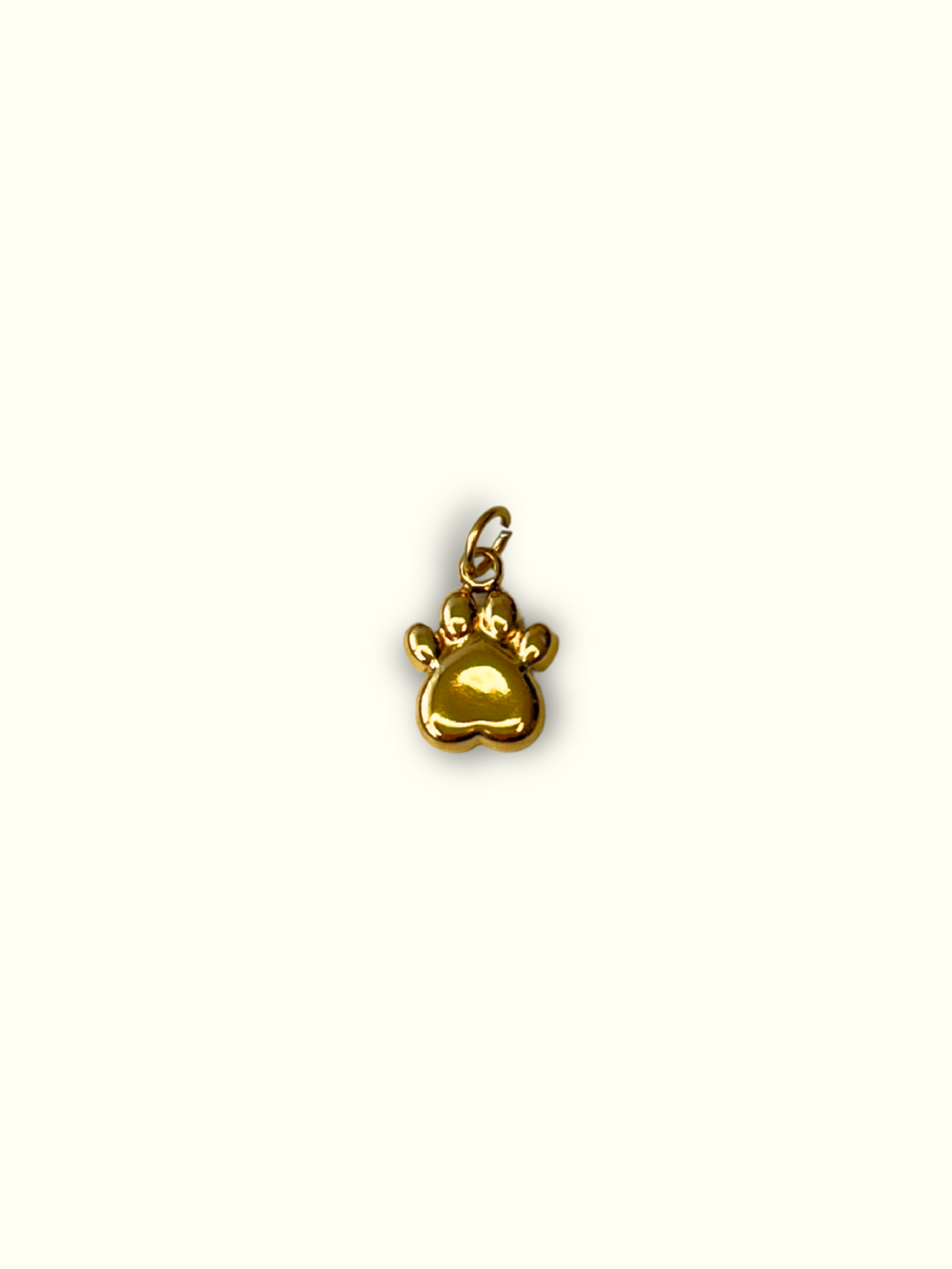 Pet Lover Charm
