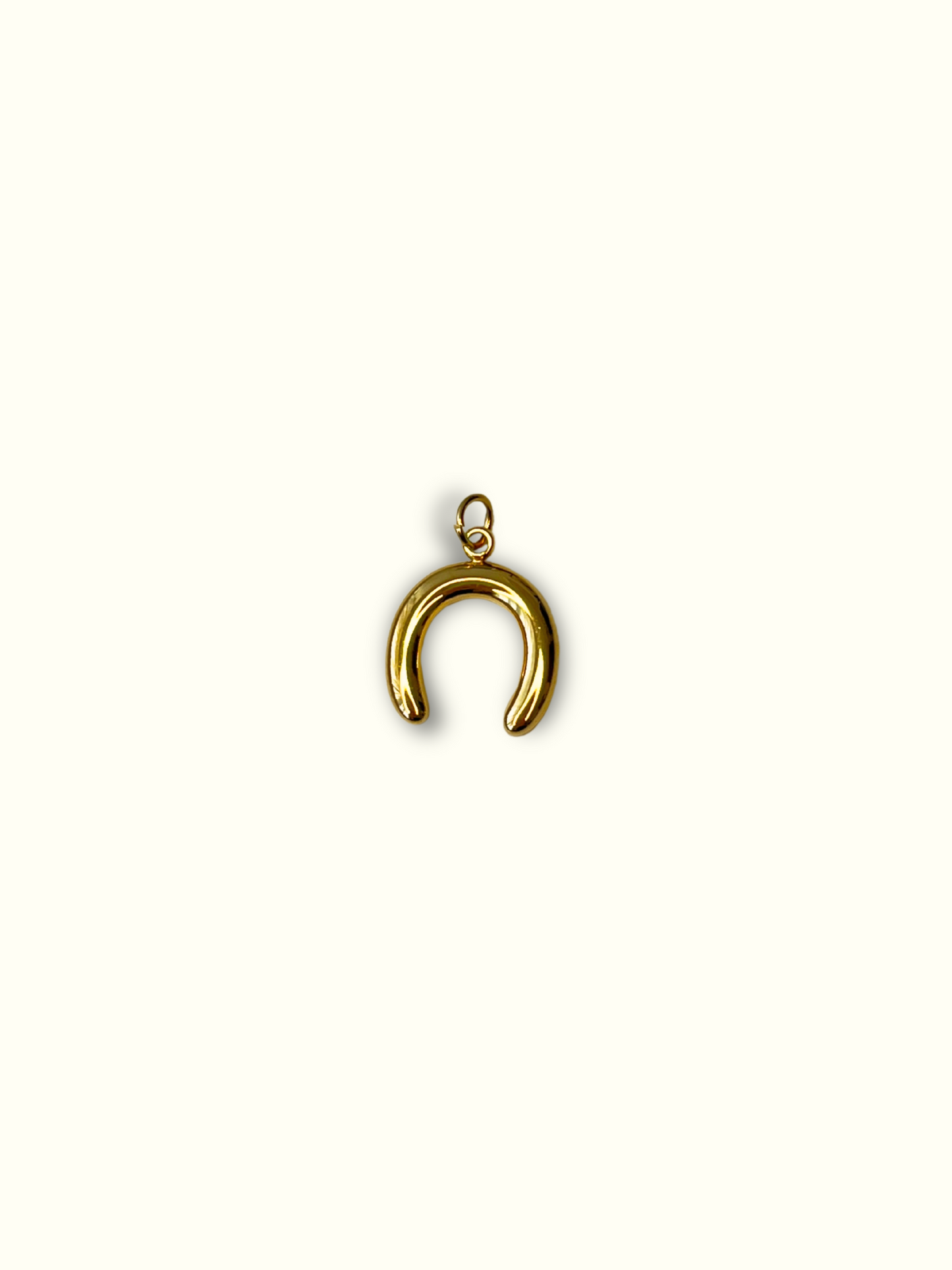 Horseshoe Charm